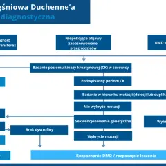 Schemat diagnostyczny dystrofii mięśniowej Duchenne'a: od objawów i badań CK do wykrycia mutacji i rozpoczęcia leczenia.