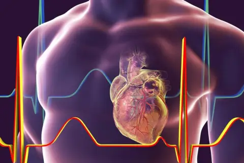 Anatomical serce w klatce piersiowej, otoczone wykresami EKG, pokazuje gdzie jest serce i jego rytm.