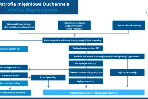 Schemat diagnostyczny dystrofii mięśniowej Duchenne'a: od objawów i badań CK do wykrycia mutacji i rozpoczęcia leczenia.