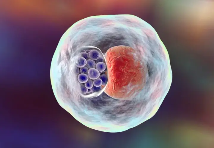 Chlamydia pneumoniae objawy neurologiczne: rzadkie, ale groźne skutki