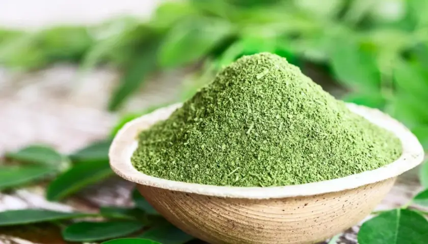 Zielony proszek moringa w miseczce, otoczony liśćmi. To naturalne superfood, które warto poznać!