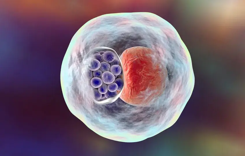 Chlamydia pneumoniae objawy neurologiczne: rzadkie, ale groźne skutki