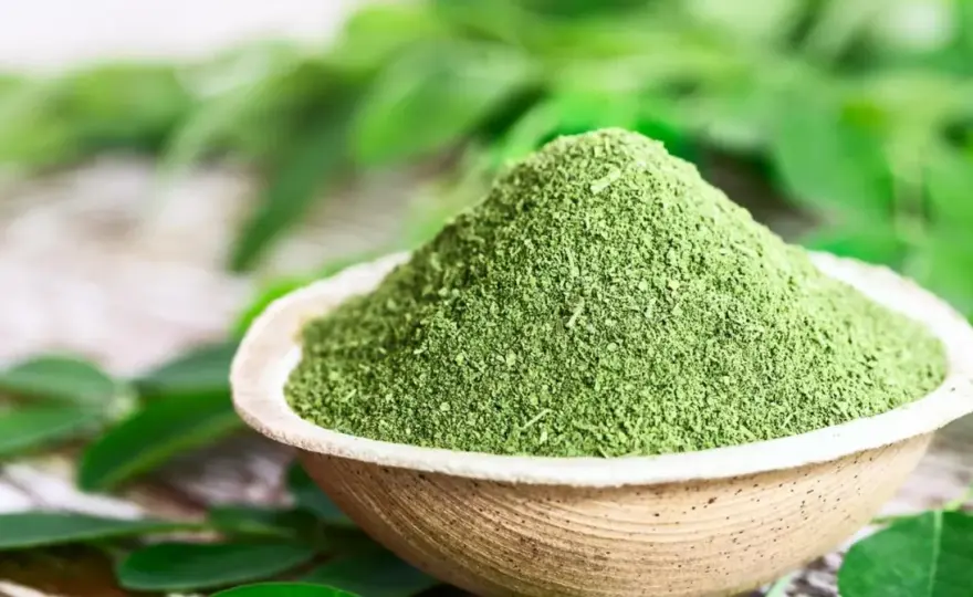 Moringa - Suplement czy lek? Co musisz wiedzieć?