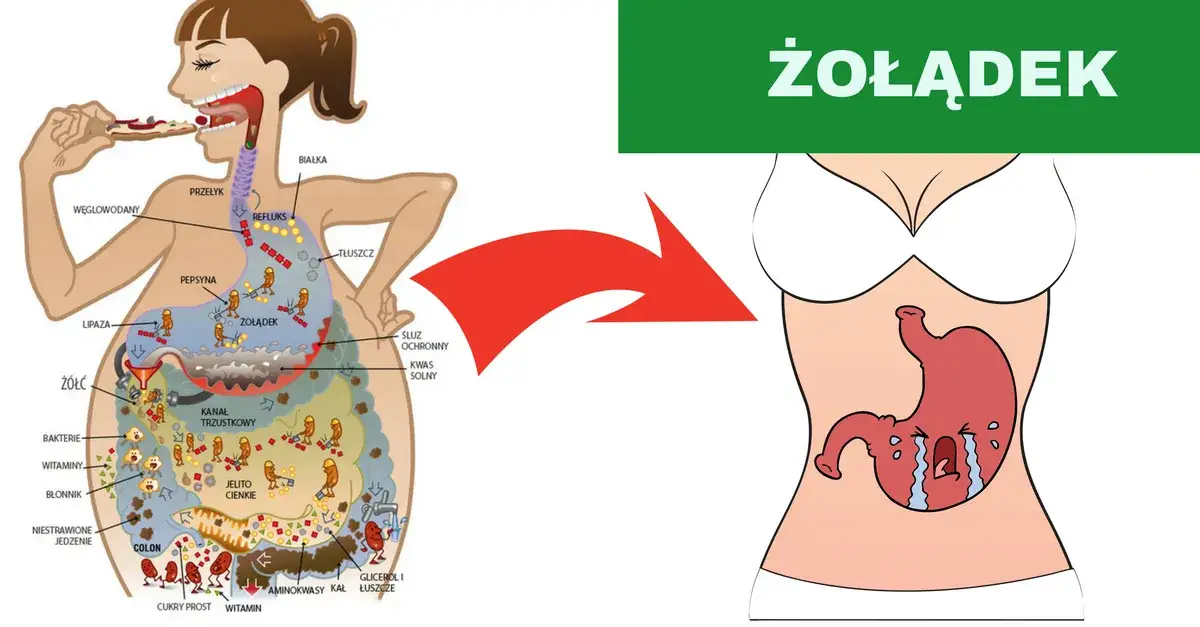 Zdjęcie Podrażniony żołądek objawy - jak rozpoznać niepokojące symptomy